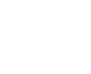 stern-dienstleistung-logo-02_weis